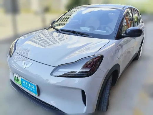 Wuling Motors Wuling Binguo PLUS 2024 Model 330km 5-Seater