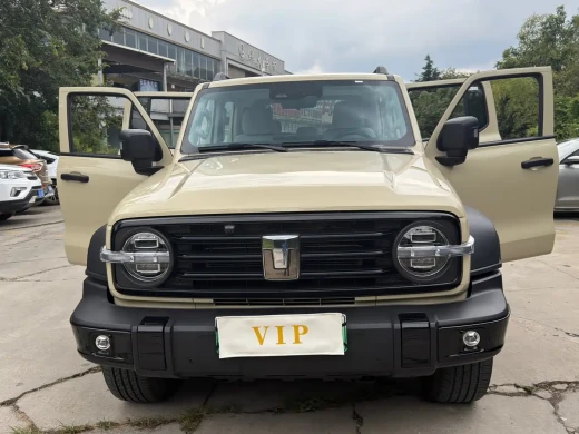 Tank 300L New Energy