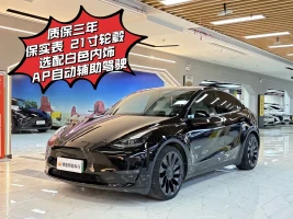 Tesla Model Y 2022 Performance High-Performance All-Wheel Drive Version