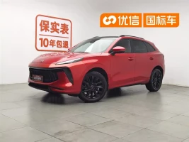 Dongfeng Fengxing Fengxing T5 EVO 2021 1.5TD DCT Starlight Edition