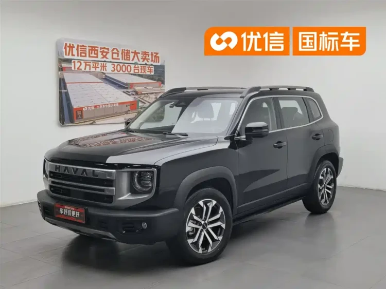 Haval Big Dog 2024 1.5T DCT Border Collie Edition