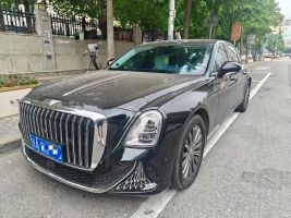 Hongqi Guoya
