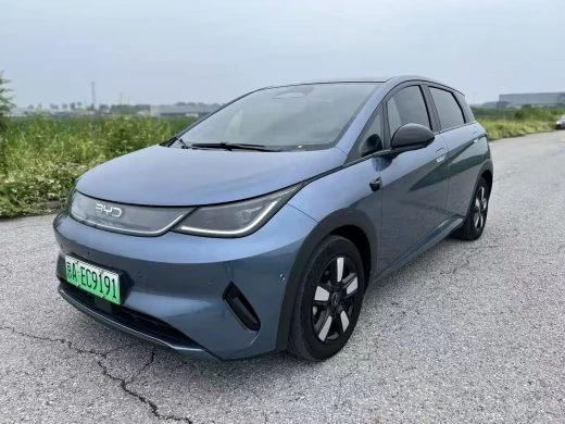 BYD Dolphin 2025 Smart Drive Edition 410km Fashion Version