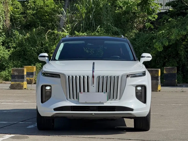 Hongqi E-HS9 2022 660km Qi Chang Edition (6-seater)
