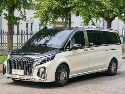 Mercedes-Benz Vito 2018 2.0T Business Edition China VI