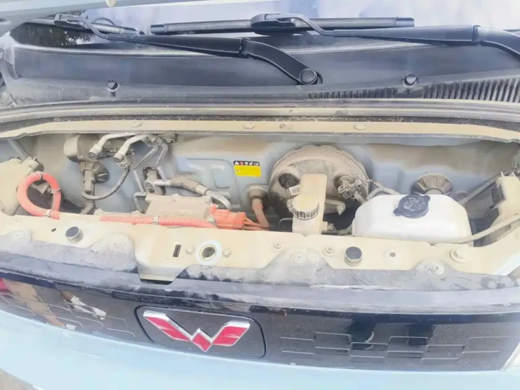 Wuling Motors Hongguang MINIEV 2020 Freedom Edition (LFP Battery)