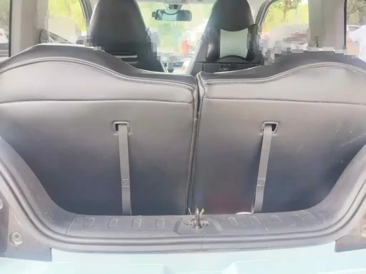 Wuling Motors Hongguang MINIEV 2020 Freedom Edition (LFP Battery)