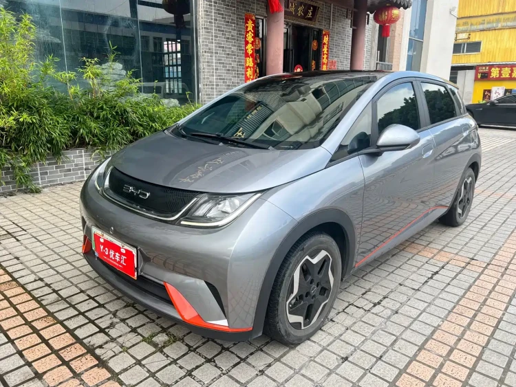 BYD Dolphin 2021 Model 405km Fashion Edition