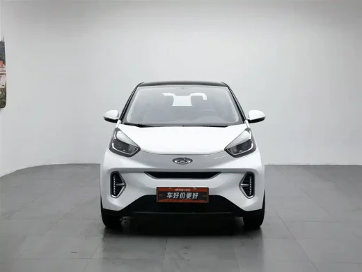 QQ New Energy Little Ant 2021.11 24800 км