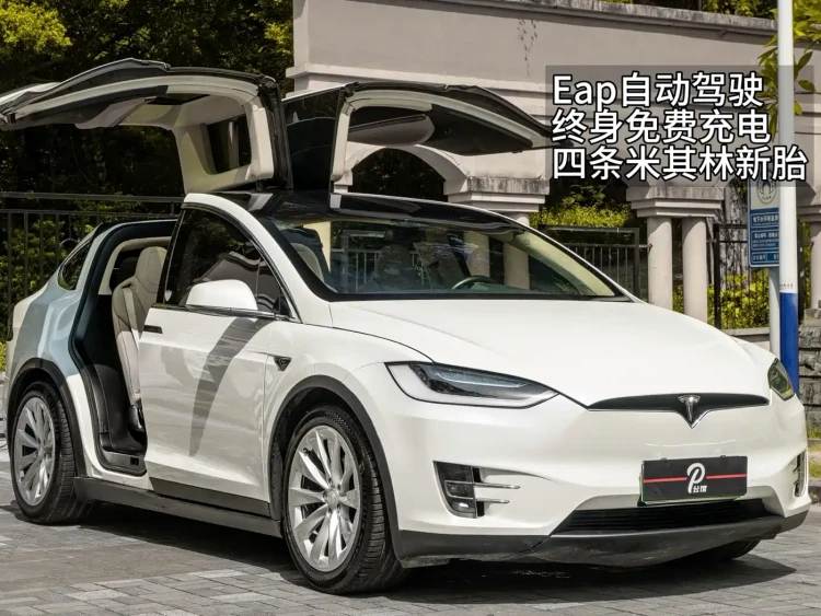 Tesla Model X 2016 Model X P100D Performance