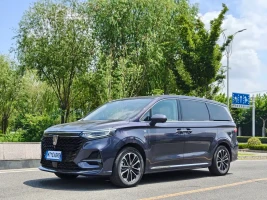 Roewe iMAX8 2022 400TGI Gathering Edition