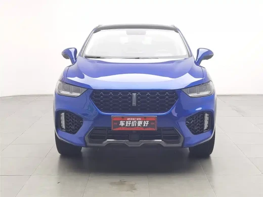 WEY VV5 2017 2.0T Super Luxury Model
