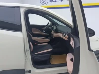 BYD Seagull 2023 Freedom Edition