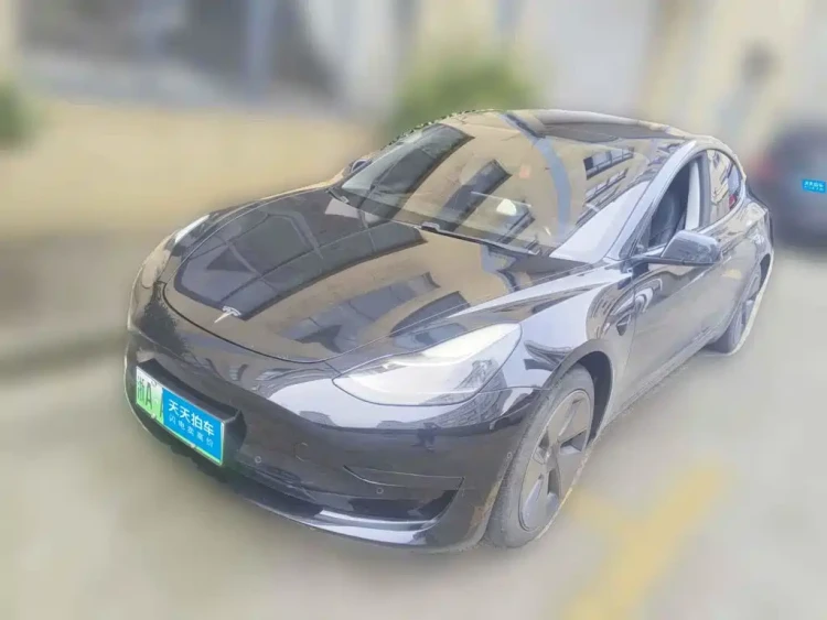 Tesla Model 3 2021 Standard Range Rear-Wheel Drive Upgrade