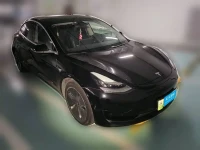 Tesla Model 3 2020 Standard Range Rear-Wheel Drive Upgrade