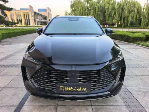 BYD Tang New Energy 2026 DM-i 115KM Premium