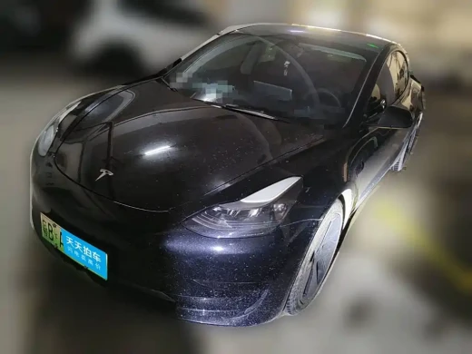 Tesla Model 3 2021 Standard Range Rear-Wheel Drive Upgrade 3D6