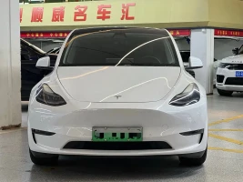 Tesla Model Y 2021 Standard Range Rear-Wheel Drive