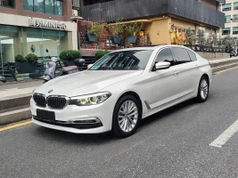 BMW 5 Series 2019 530Li Leading Luxury Package