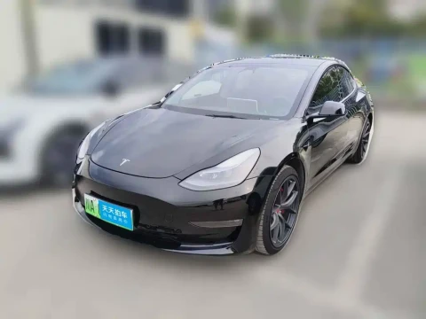 Tesla Model 3 2021 Performance High-Performance All-Wheel Drive