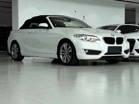 BMW 2 Series (Import) 2015 220i Convertible Coupe Leading