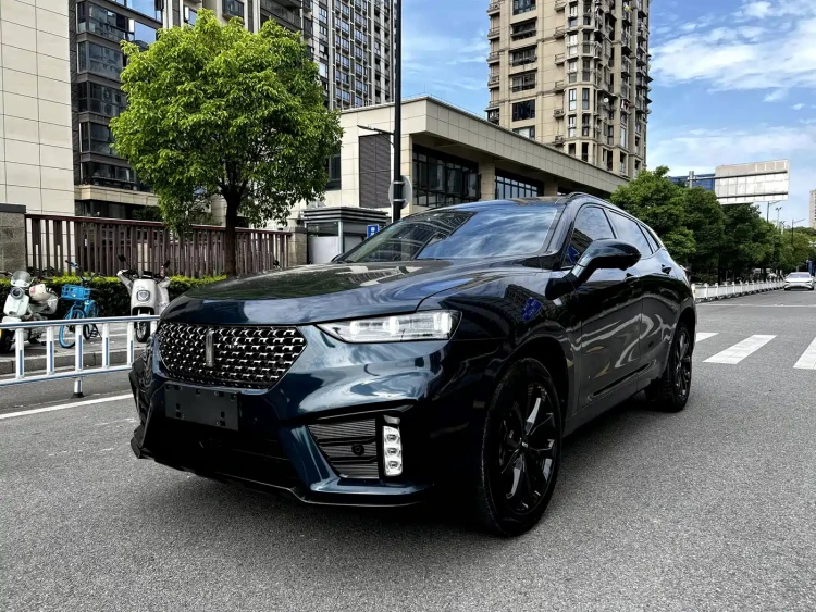 WEY VV7 2021 Model 2.0T Technology Edition