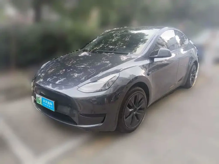 Tesla Model Y 2024 Rear-Wheel Drive Version