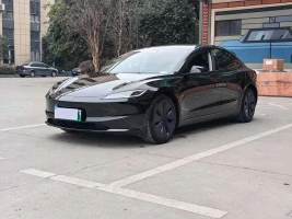 Tesla Model 3 2023 Rear-Wheel Drive