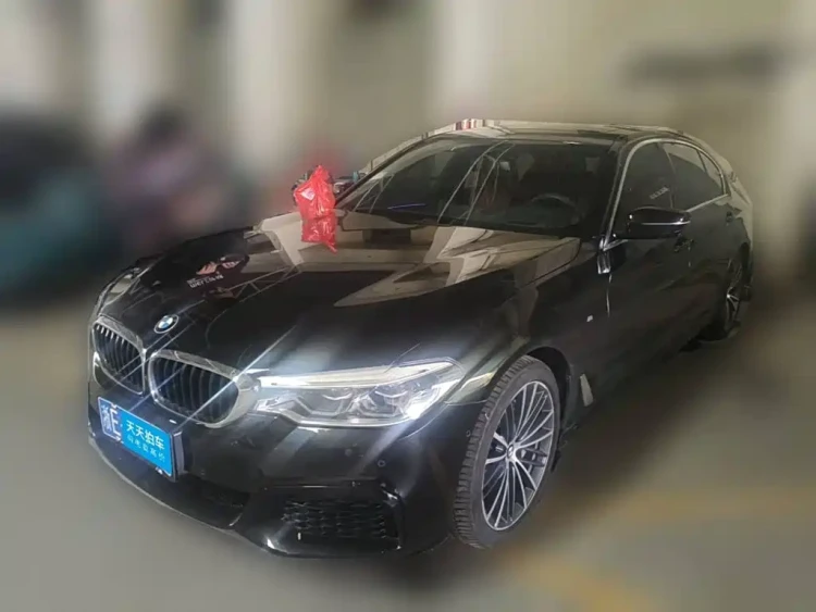BMW 5 Series 2020 530Li Exclusive M Sport Package