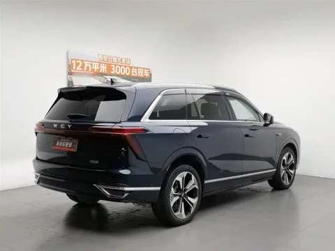 WEY Lanshan 2023.04 52000 км