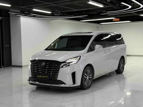 Buick GL8 2022 ES Landmark 653T Premium