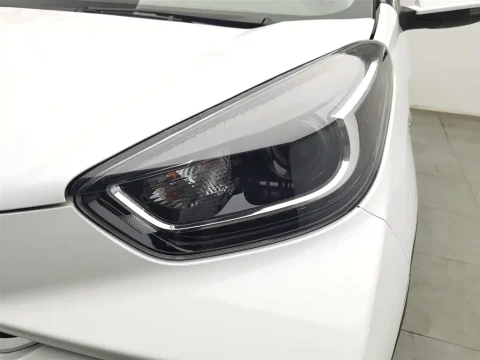 QQ New Energy Little Ant 2023 251km True Love Edition LFP