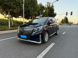 GAC Trumpchi Trumpchi M8 2020 390T Prestige