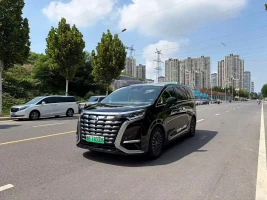 Denza D9 2022 DM-i 970 All-Wheel Drive Honor Edition